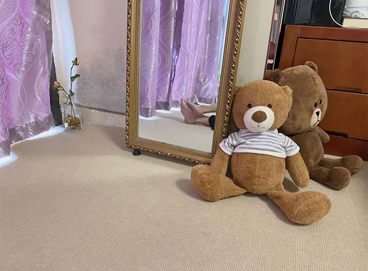 寧波辦公地毯（拉絨地毯）